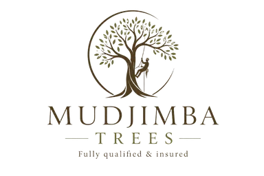 Mudjimba Trees logo