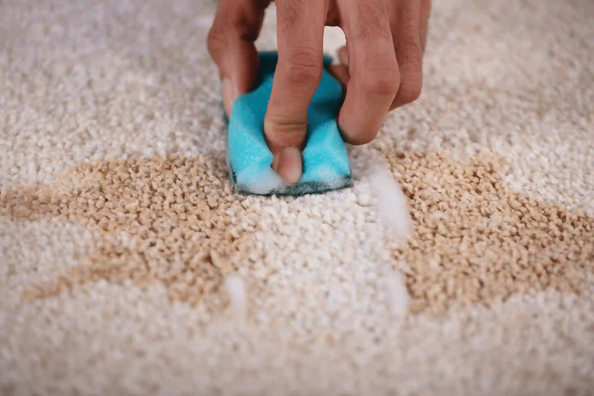 Bridgeman Downs Carpet Repair Service