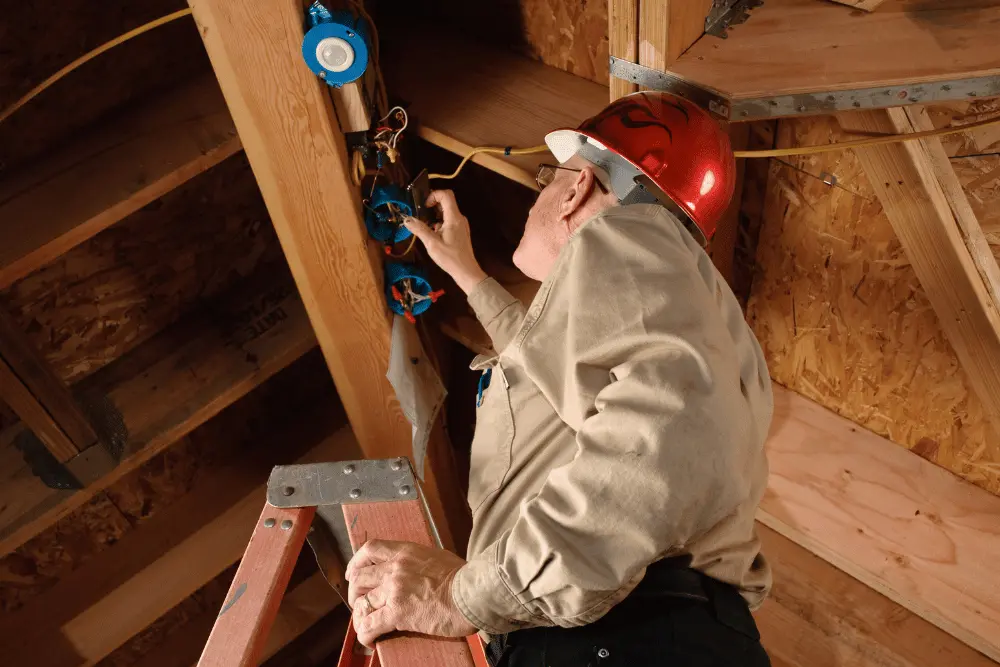 How Much Does a Building and Pest Inspection Cost in Brisbane?